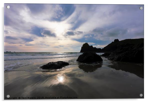 Kynance Cornwall In December Acrylic by Terri Waters