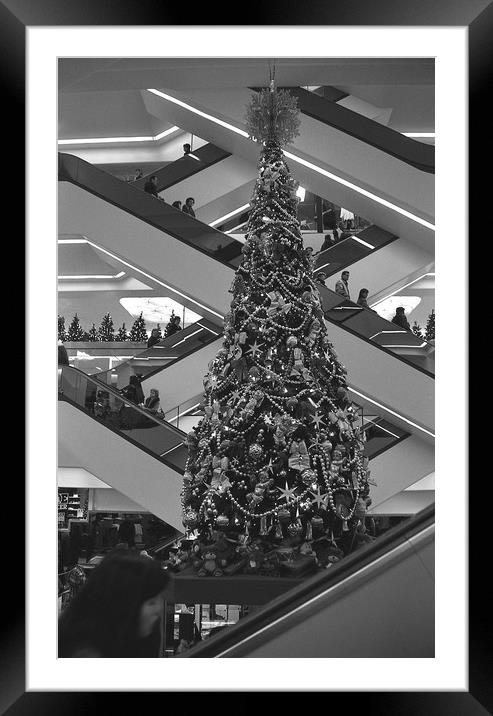 Stairs to Christmas tree  Framed Mounted Print by Alfredo Bustos
