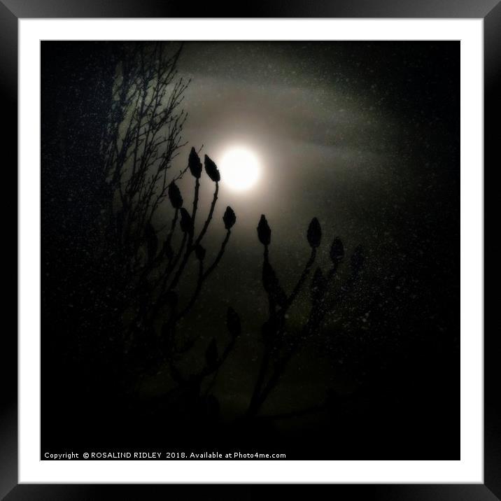 "Winter Solstice full moon" Framed Mounted Print by ROS RIDLEY
