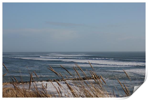 Sea Through The Reeds Print by kelly Draper