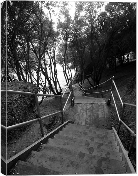 Long Way Down Canvas Print by kelly Draper