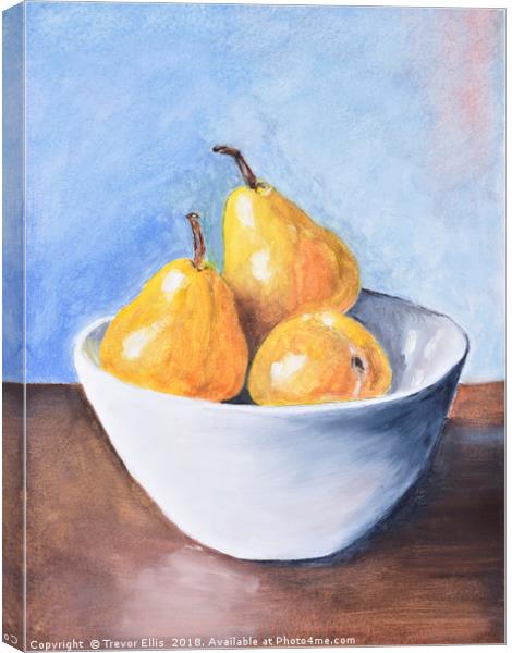 The fruit bowl Canvas Print by Trevor Ellis