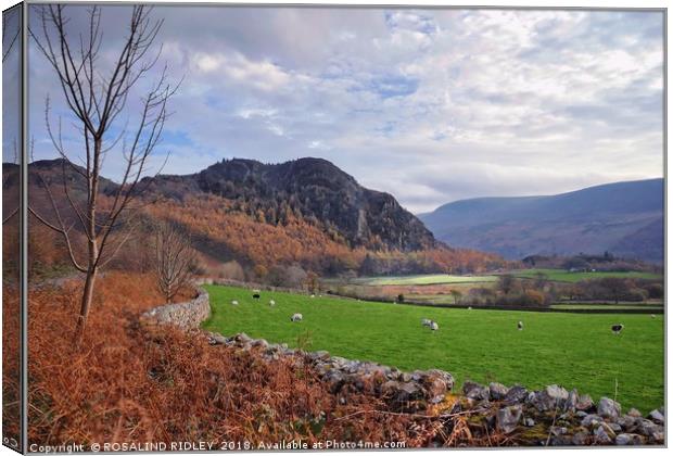 "Ennerdale Valley" Canvas Print by ROS RIDLEY