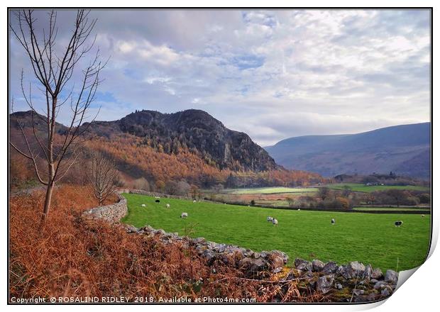 "Ennerdale Valley" Print by ROS RIDLEY
