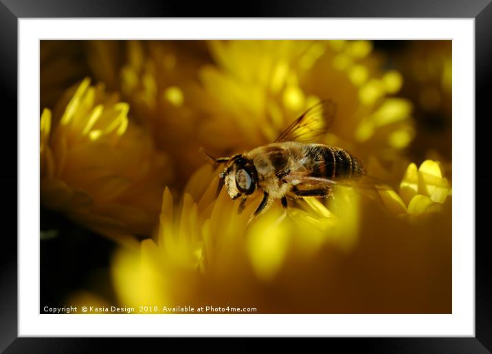 Bee in Seventh Heaven Framed Mounted Print by Kasia Design