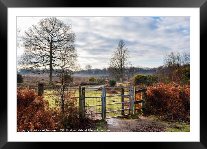 Hothfield Heathlands on a Winter Day in Rural Kent Framed Mounted Print by Pearl Bucknall