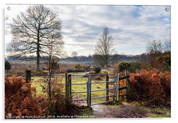 Hothfield Heathlands on a Winter Day in Rural Kent Acrylic by Pearl Bucknall