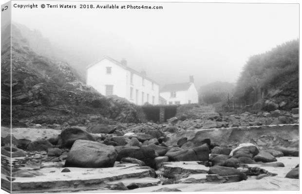 Kynance Cove In The Mist Canvas Print by Terri Waters
