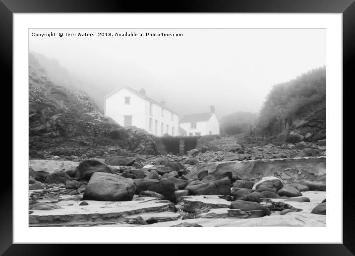 Kynance Cove In The Mist Framed Mounted Print by Terri Waters