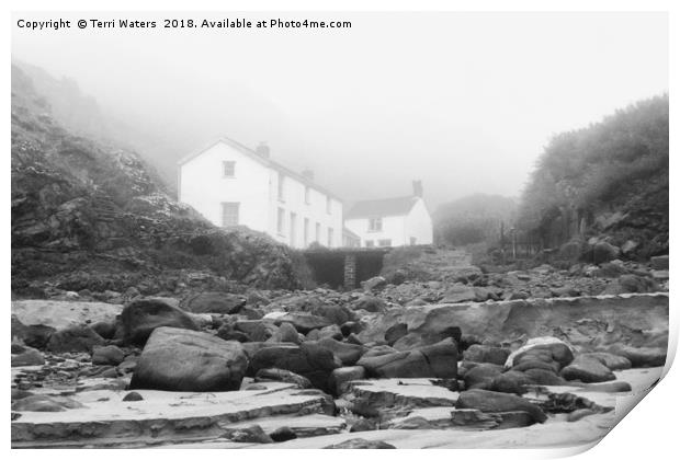 Kynance Cove In The Mist Print by Terri Waters