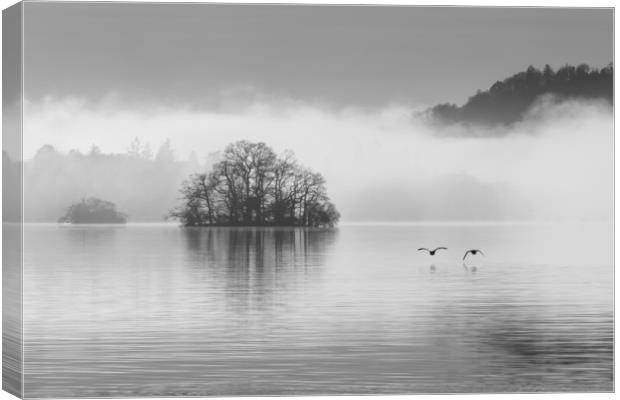 Two geese over Windermere Canvas Print by Tony Higginson