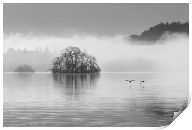 Two geese over Windermere Print by Tony Higginson