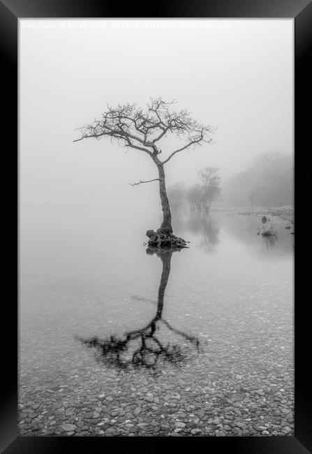 Misty Milarrochy Loch Lomond Framed Print by bryan hynd