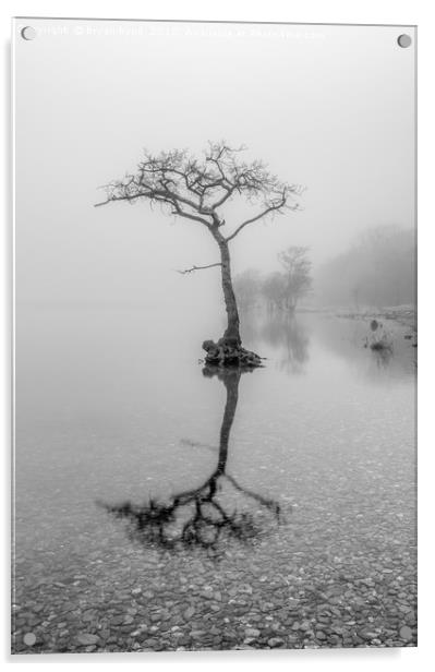 Misty Milarrochy Loch Lomond Acrylic by bryan hynd