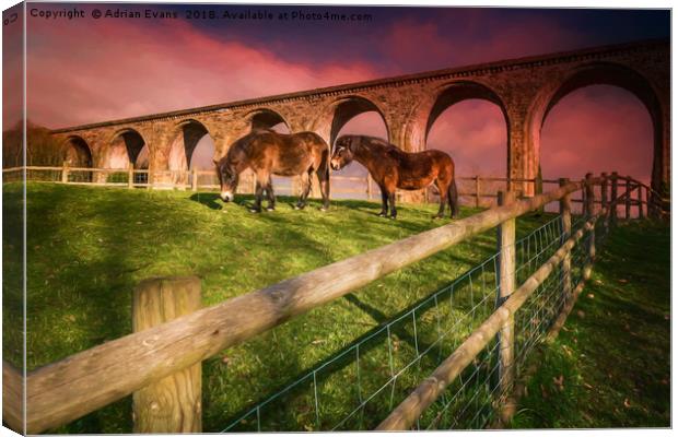 Cefn Viaduct Horses at Sunset Canvas Print by Adrian Evans