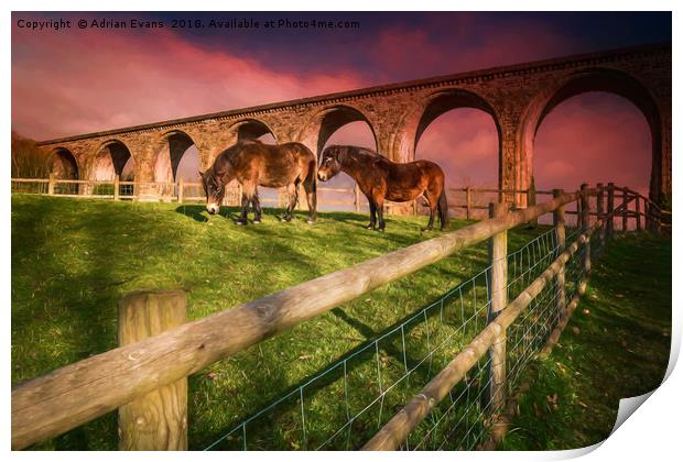 Cefn Viaduct Horses at Sunset Print by Adrian Evans