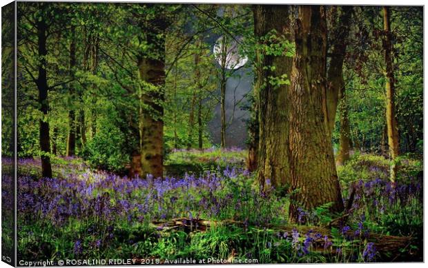 "Moonlit Bluebell woods" Canvas Print by ROS RIDLEY