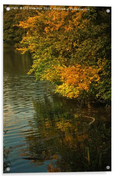 Autumn Reflections Acrylic by LIZ Alderdice