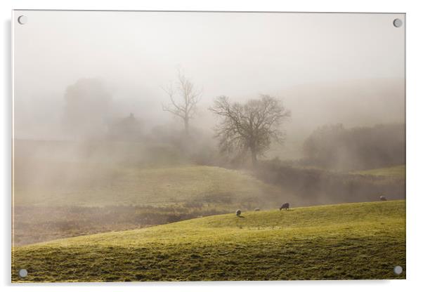 Lakeland sheep in the mist Acrylic by Tony Higginson