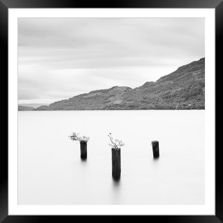 Loch Lomond jetty stumps Framed Mounted Print by Tony Higginson