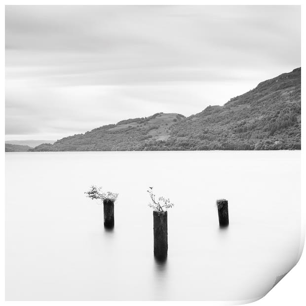 Loch Lomond jetty stumps Print by Tony Higginson
