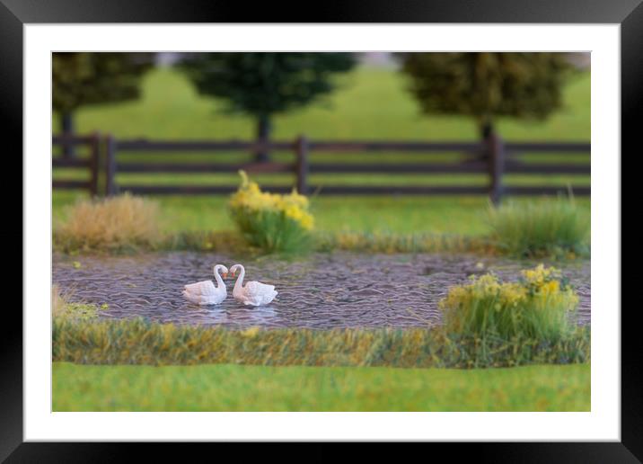 Swan Lake Framed Mounted Print by Steve Purnell