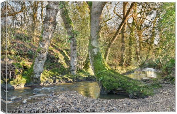 Beautiful Stream in a Village of Horton Somerset Canvas Print by Will Badman