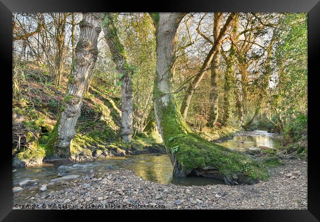 Beautiful Stream in a Village of Horton Somerset Framed Print by Will Badman