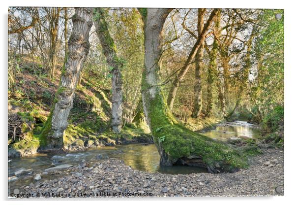 Beautiful Stream in a Village of Horton Somerset Acrylic by Will Badman