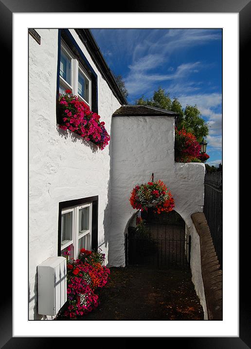 Cottage in Scotland Framed Mounted Print by Joyce Storey