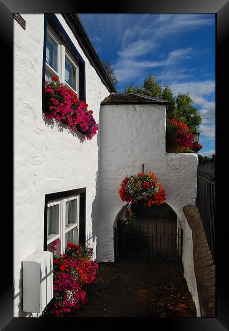 Cottage in Scotland Framed Print by Joyce Storey