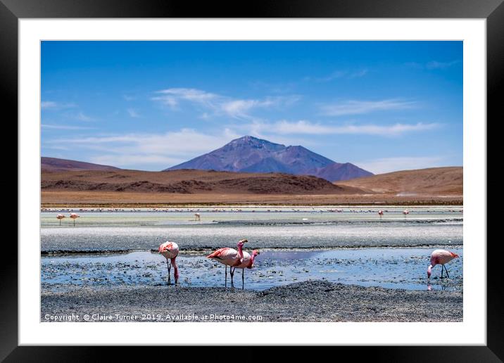 Bolivian wilderness Framed Mounted Print by Claire Turner