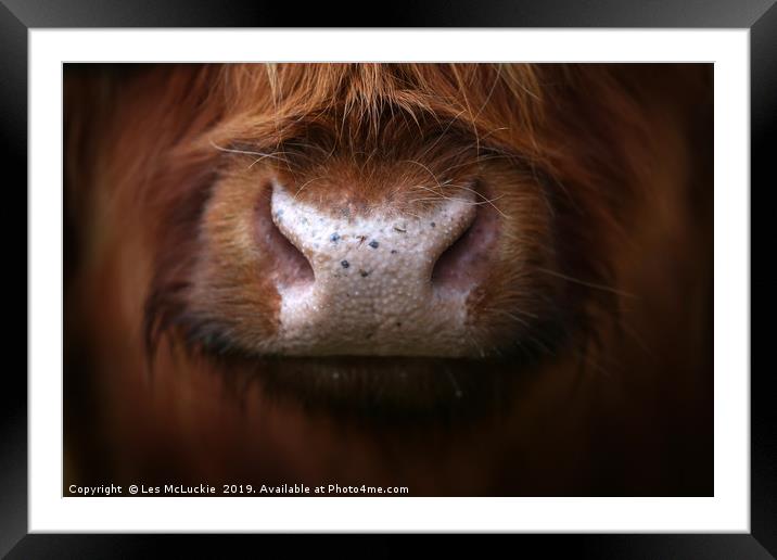 Majestic Highland Cow Staring into Your Soul Framed Mounted Print by Les McLuckie