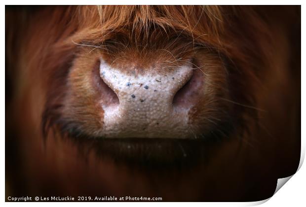 Majestic Highland Cow Staring into Your Soul Print by Les McLuckie