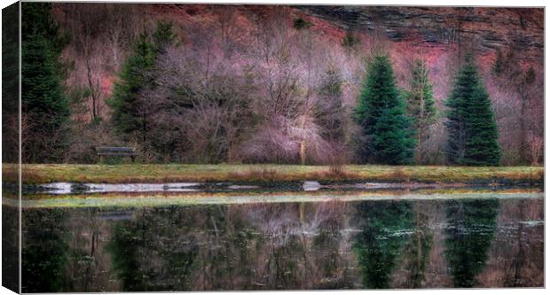 Glyncorrwg ponds South Wales Canvas Print by Leighton Collins