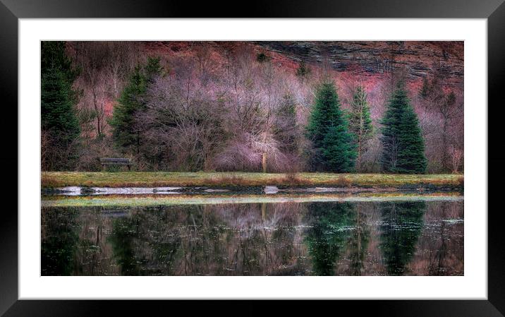 Glyncorrwg ponds South Wales Framed Mounted Print by Leighton Collins