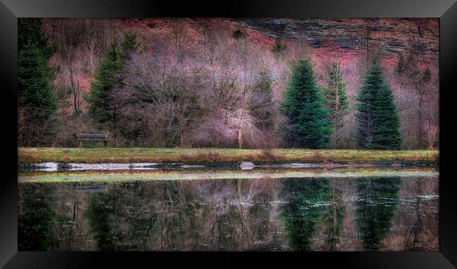 Glyncorrwg ponds South Wales Framed Print by Leighton Collins