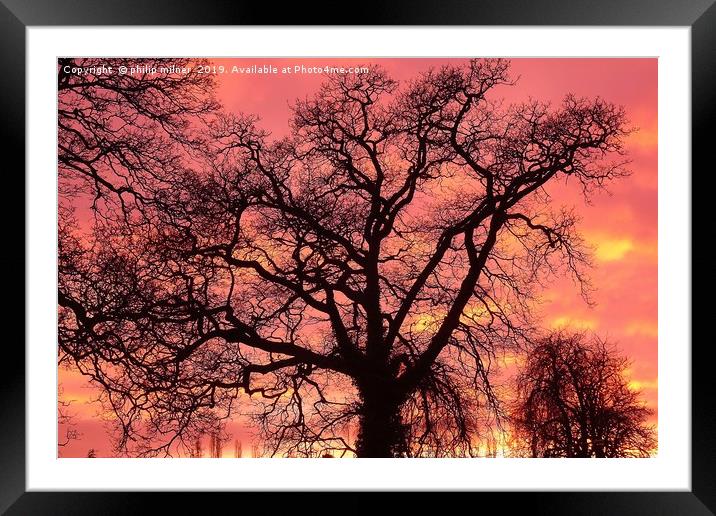 Sunset Silloute  Framed Mounted Print by philip milner