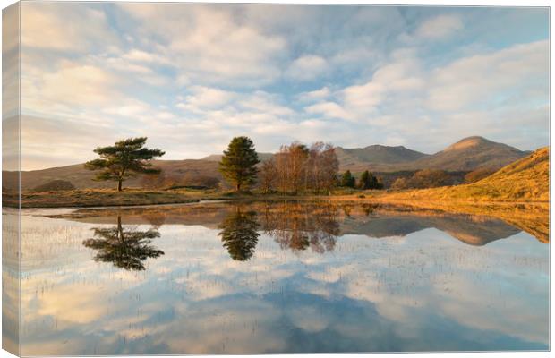 Kelly Hall Tarn and the old man of Coniston Canvas Print by Tony Higginson