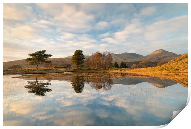 Kelly Hall Tarn and the old man of Coniston Print by Tony Higginson