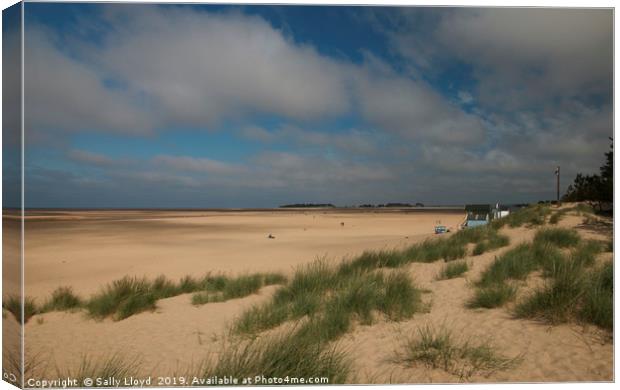 Beach View at Wells-next-the-Sea Canvas Print by Sally Lloyd