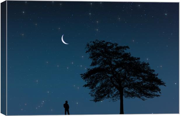 Moonlight Contemplation Canvas Print by Steve Purnell