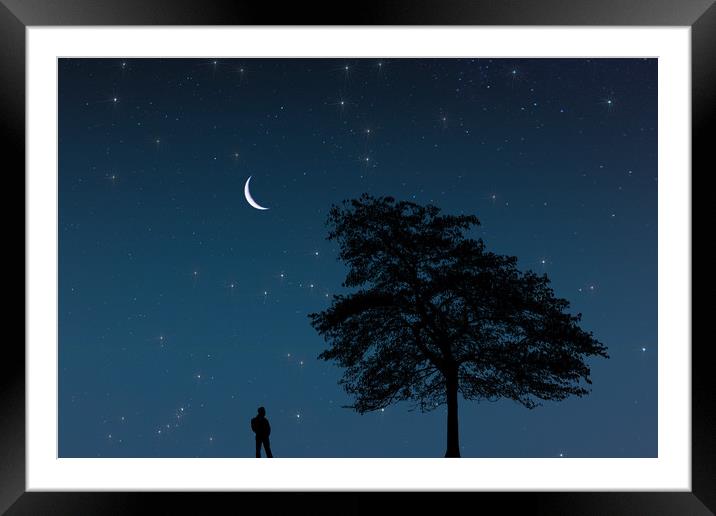 Moonlight Contemplation Framed Mounted Print by Steve Purnell