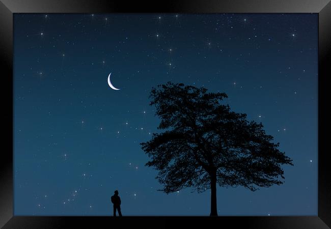 Moonlight Contemplation Framed Print by Steve Purnell