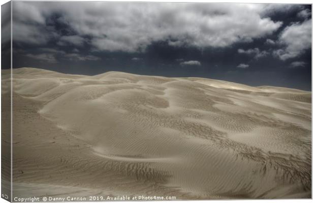 Dunes Canvas Print by Danny Cannon