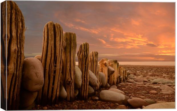Weathered Groynes Canvas Print by David Neighbour