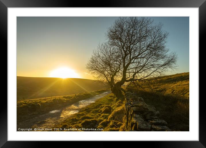 Tree in the sunset Framed Mounted Print by Nick Hirst