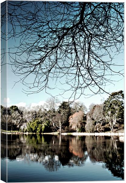 The lake, Mount Stewart Canvas Print by Stephen Maxwell