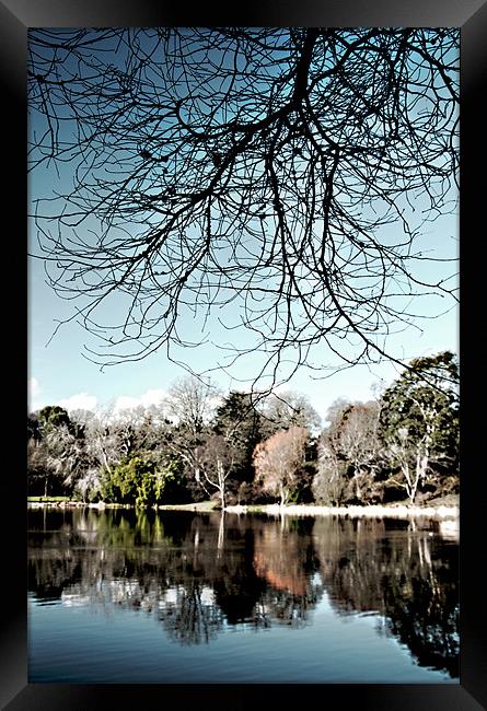 The lake, Mount Stewart Framed Print by Stephen Maxwell
