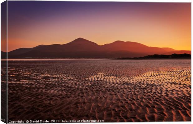 Where The Mournes Sweep Down To The Sea Canvas Print by David Doyle